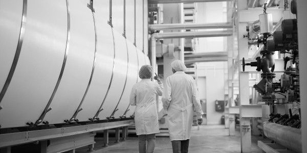 Informes Periciales Senterada · Informes Periciales de Ingeniería